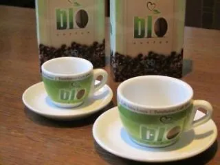 Eco-art De Albertis